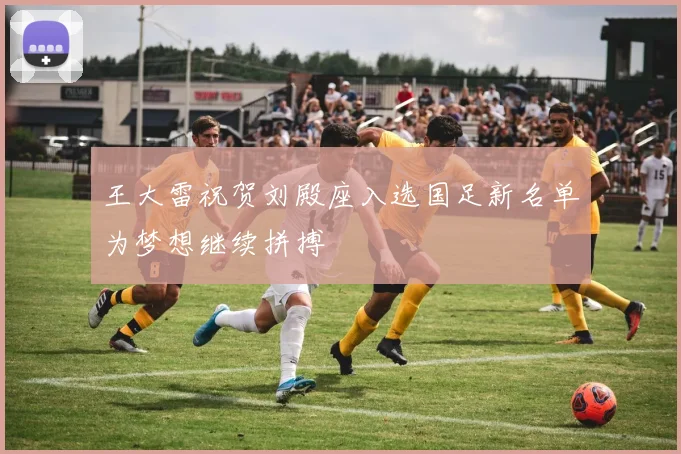 王大雷祝贺刘殿座入选国足新名单为梦想继续拼搏